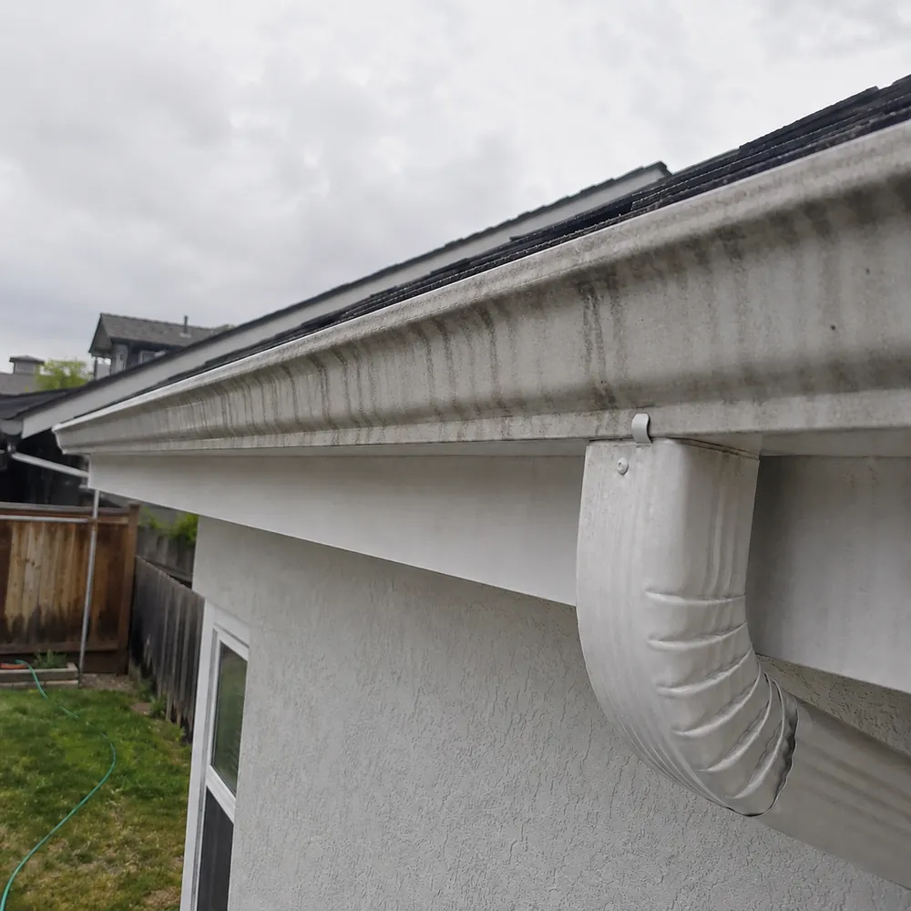 Before and after gutter cleaning